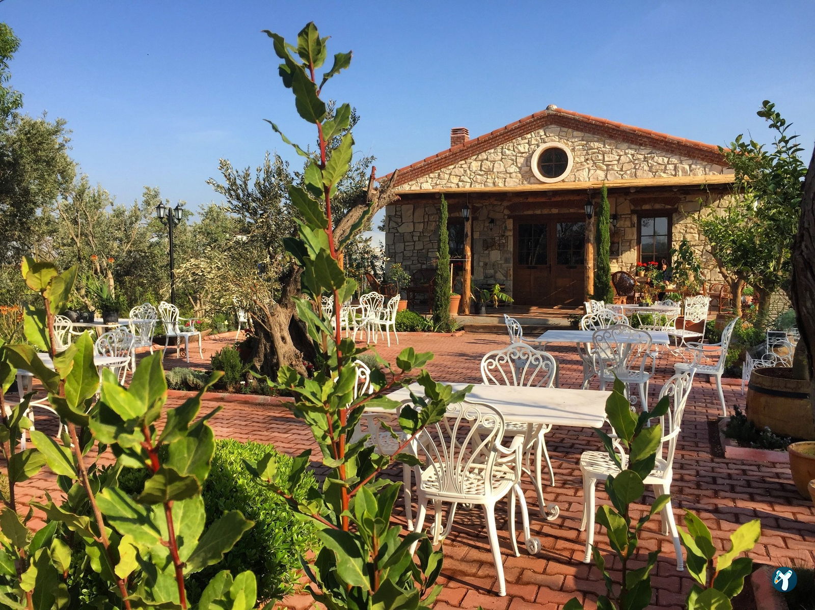 Urla Vino Locale