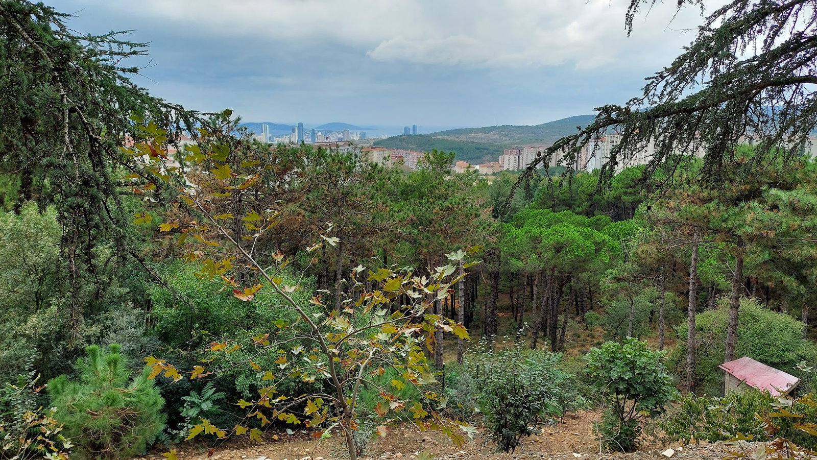 Cennet Bahçesi Hasan'In Yeri