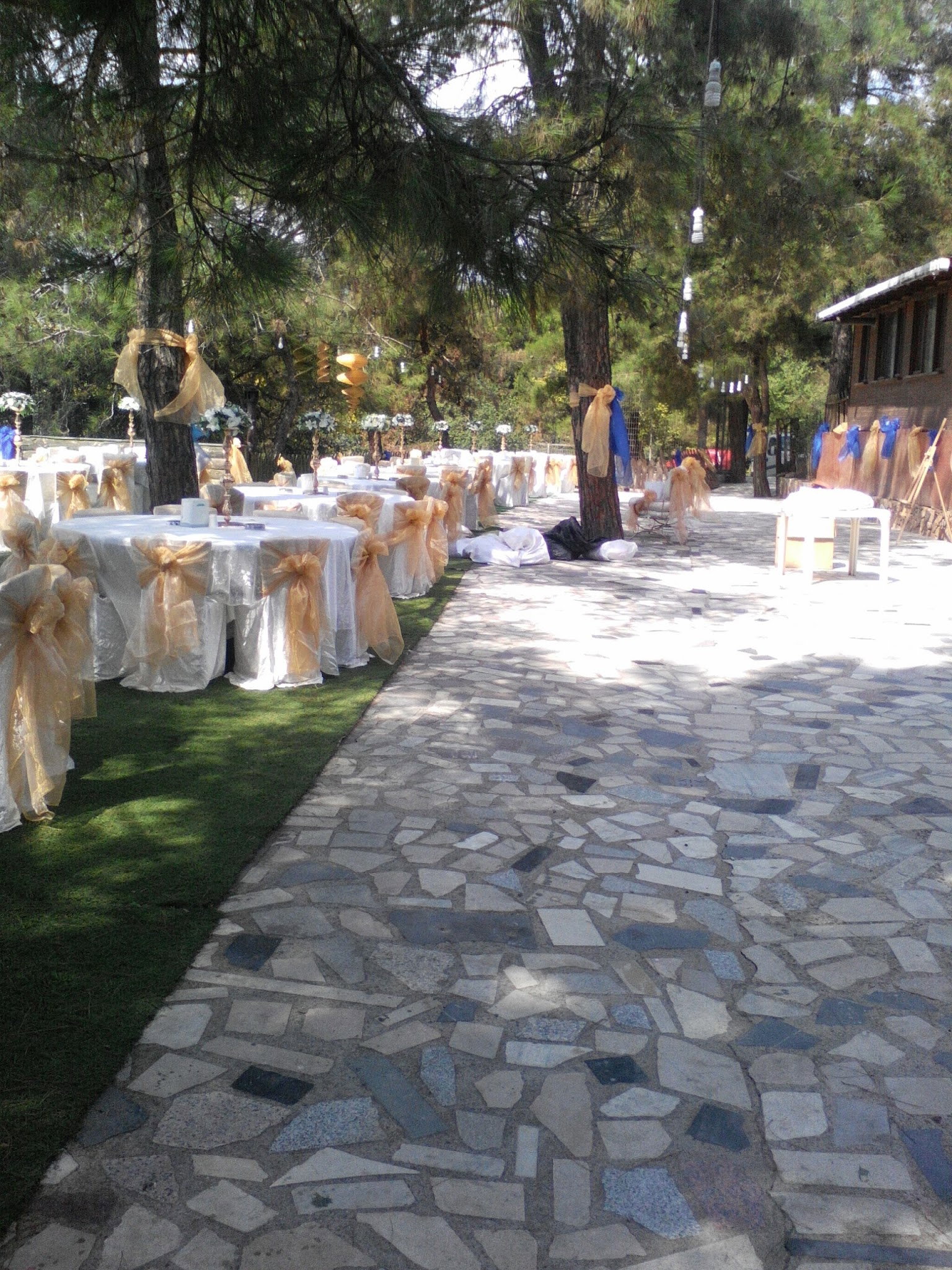 Cennet Bahçesi Hasan'In Yeri