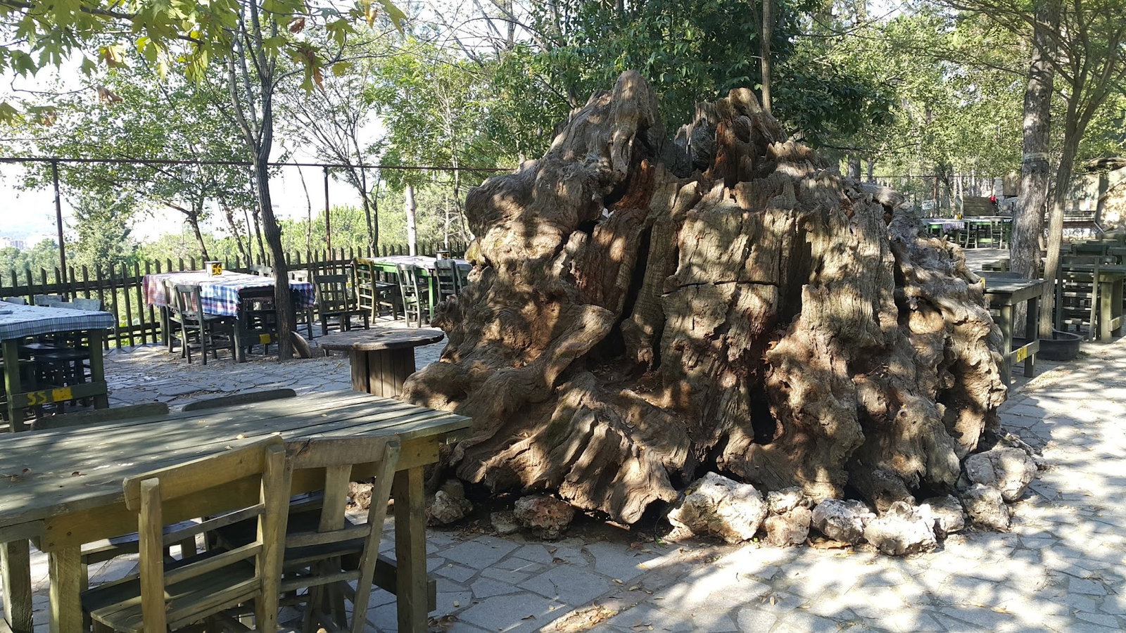 Cennet Bahçesi Hasan'In Yeri