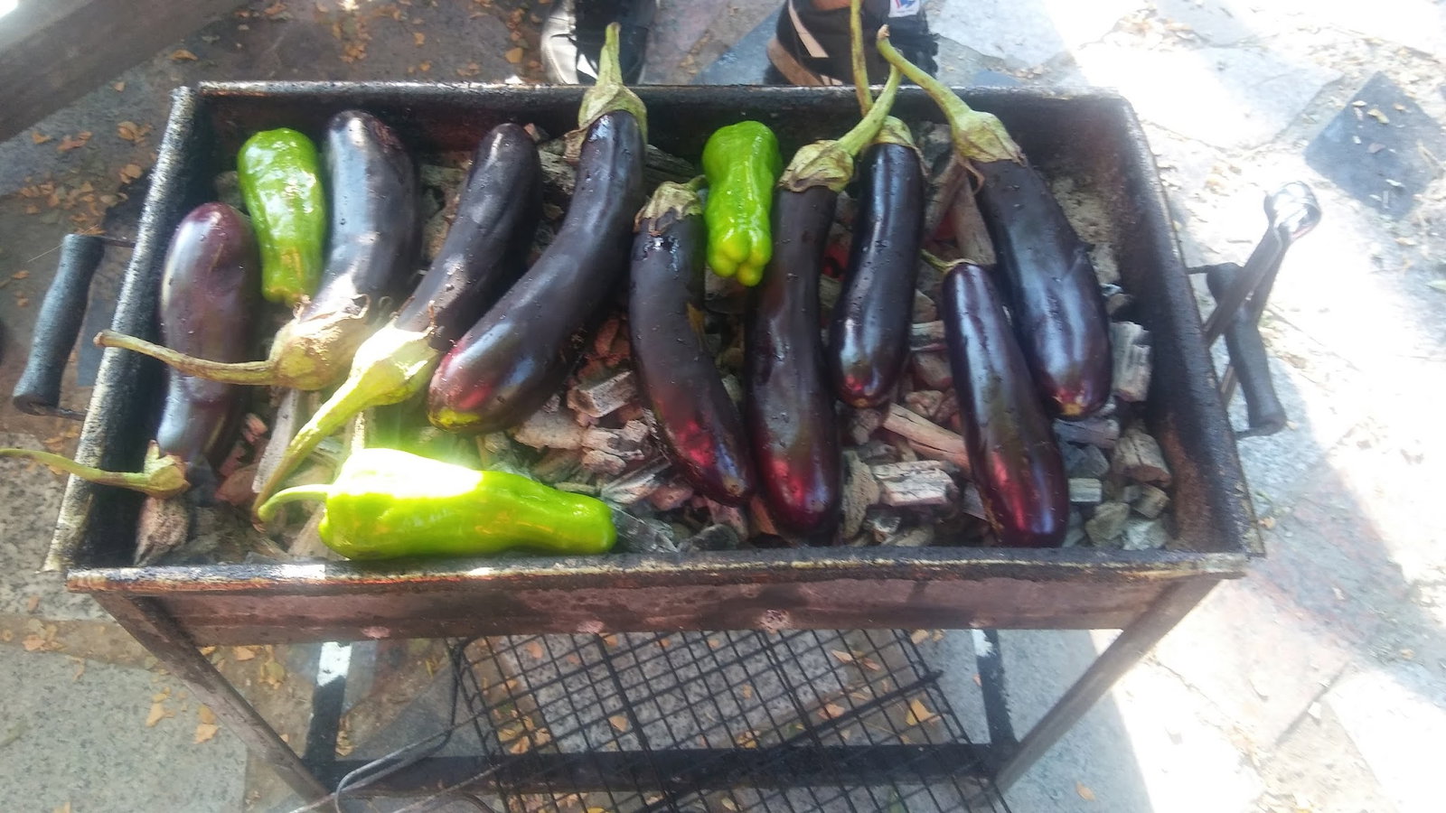 Cennet Bahçesi Hasan'In Yeri