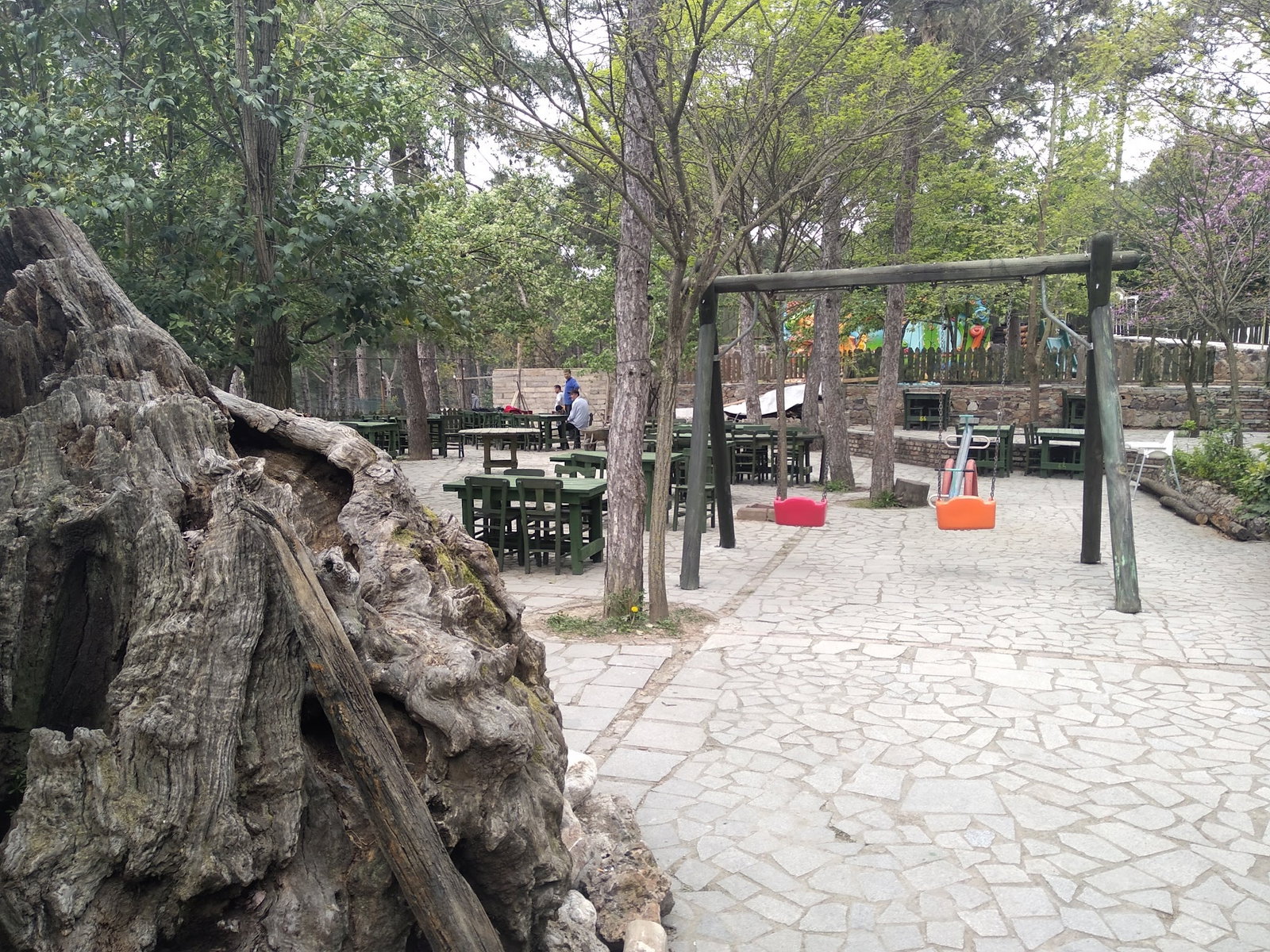 Cennet Bahçesi Hasan'In Yeri