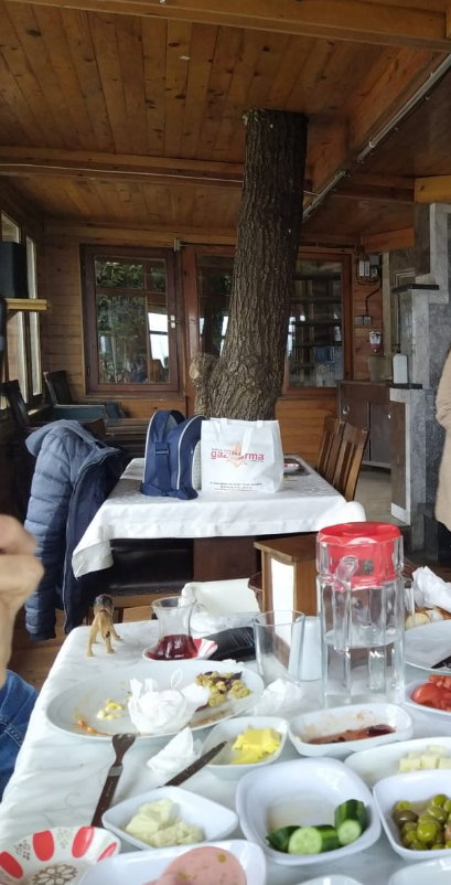 Cennet Bahçesi Hasan'In Yeri