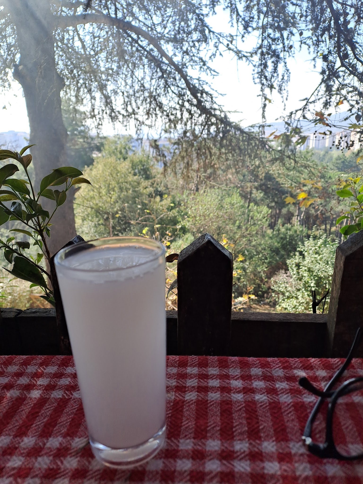 Cennet Bahçesi Hasan'In Yeri