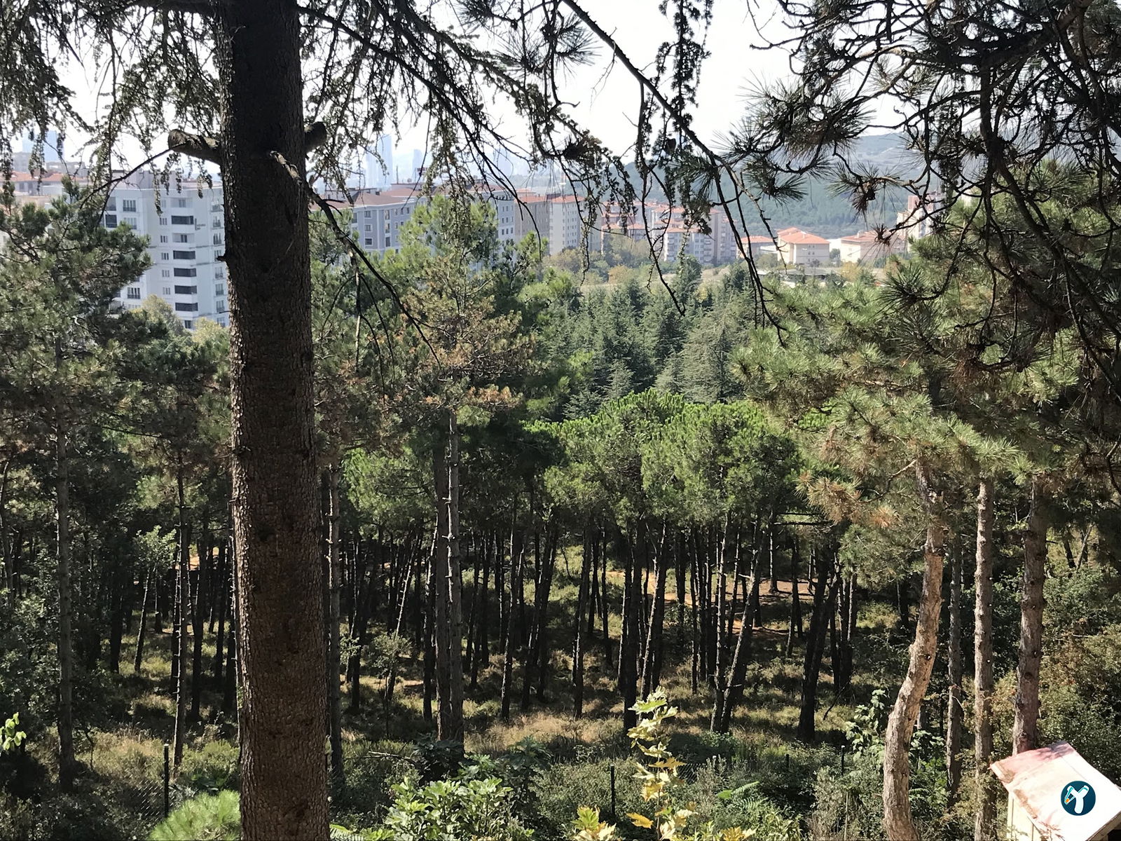 Cennet Bahçesi Hasan'In Yeri