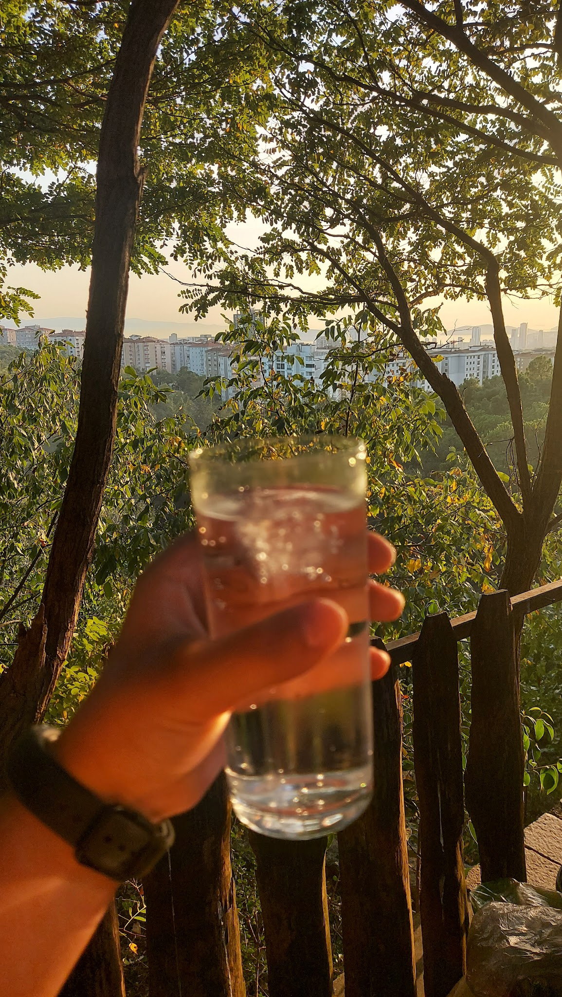 Cennet Bahçesi Hasan'In Yeri