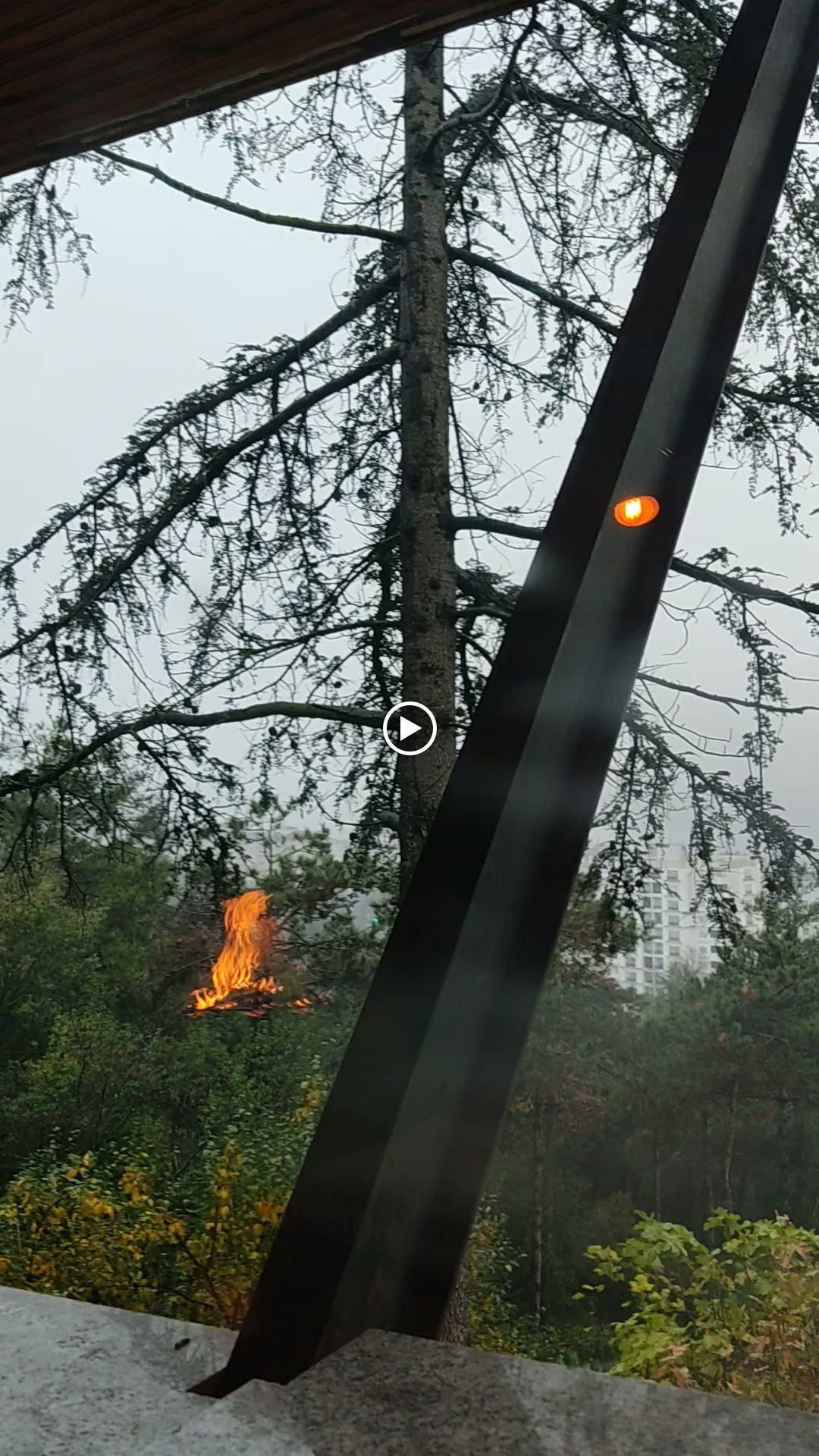 Cennet Bahçesi Hasan'In Yeri