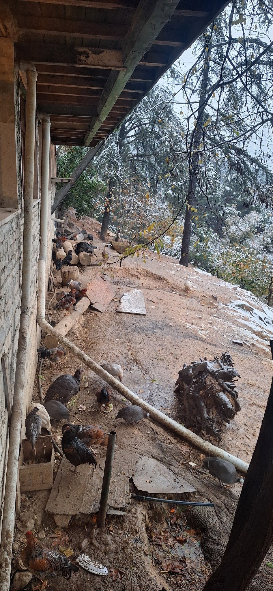 Cennet Bahçesi Hasan'In Yeri