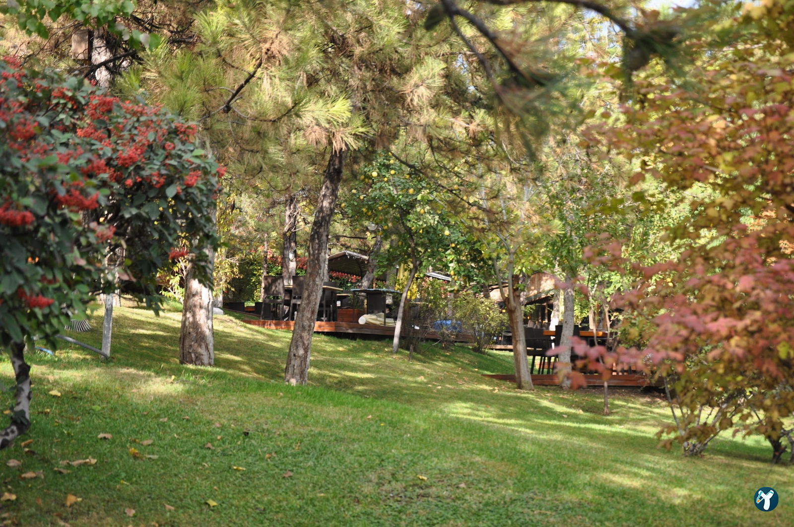 Çardak Restaurant
