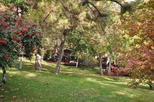 Çardak Restaurant resimleri