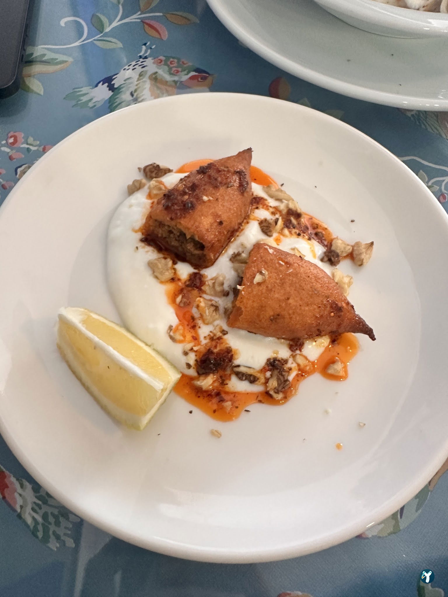 Derya Mantı Fethiye