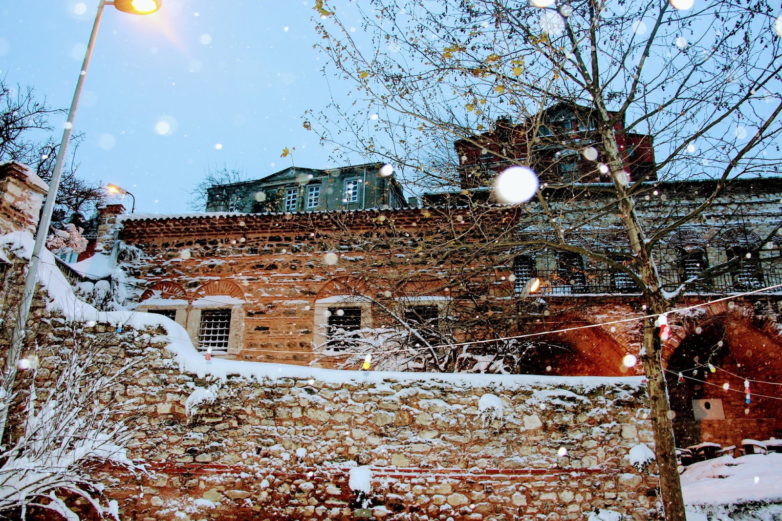 Dimitrie Cantemir Müze Cafe