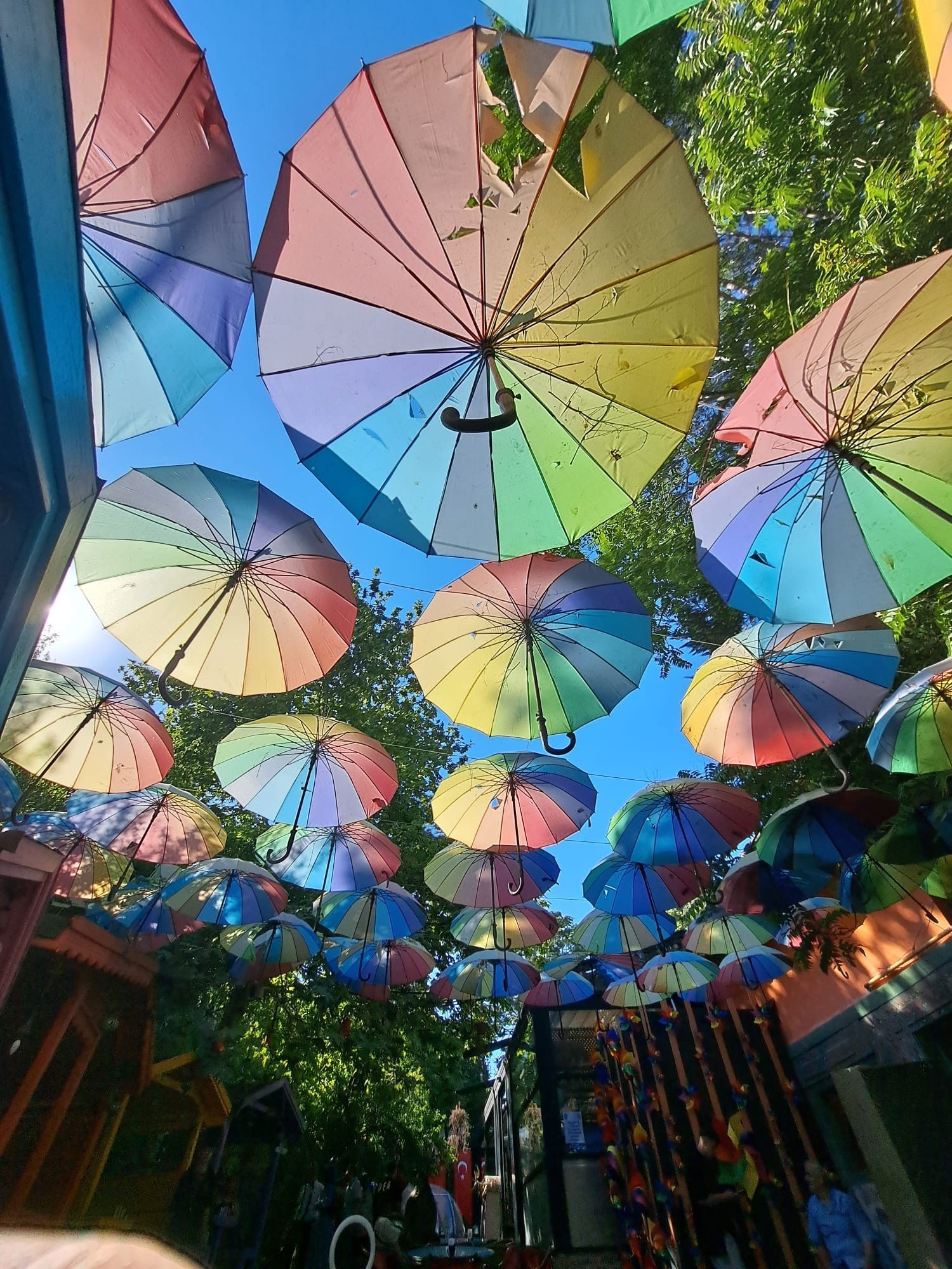 Dimitrie Cantemir Müze Cafe