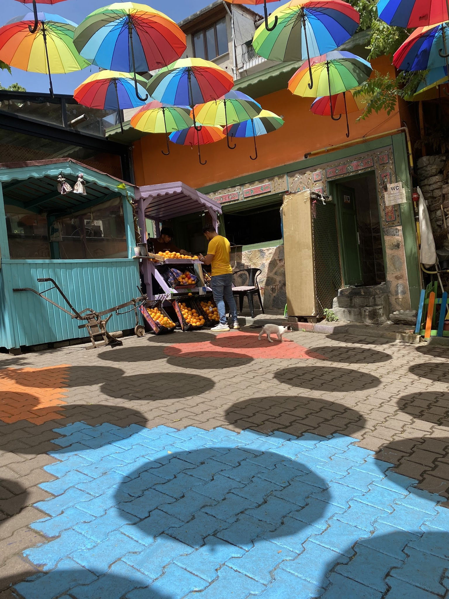 Dimitrie Cantemir Müze Cafe