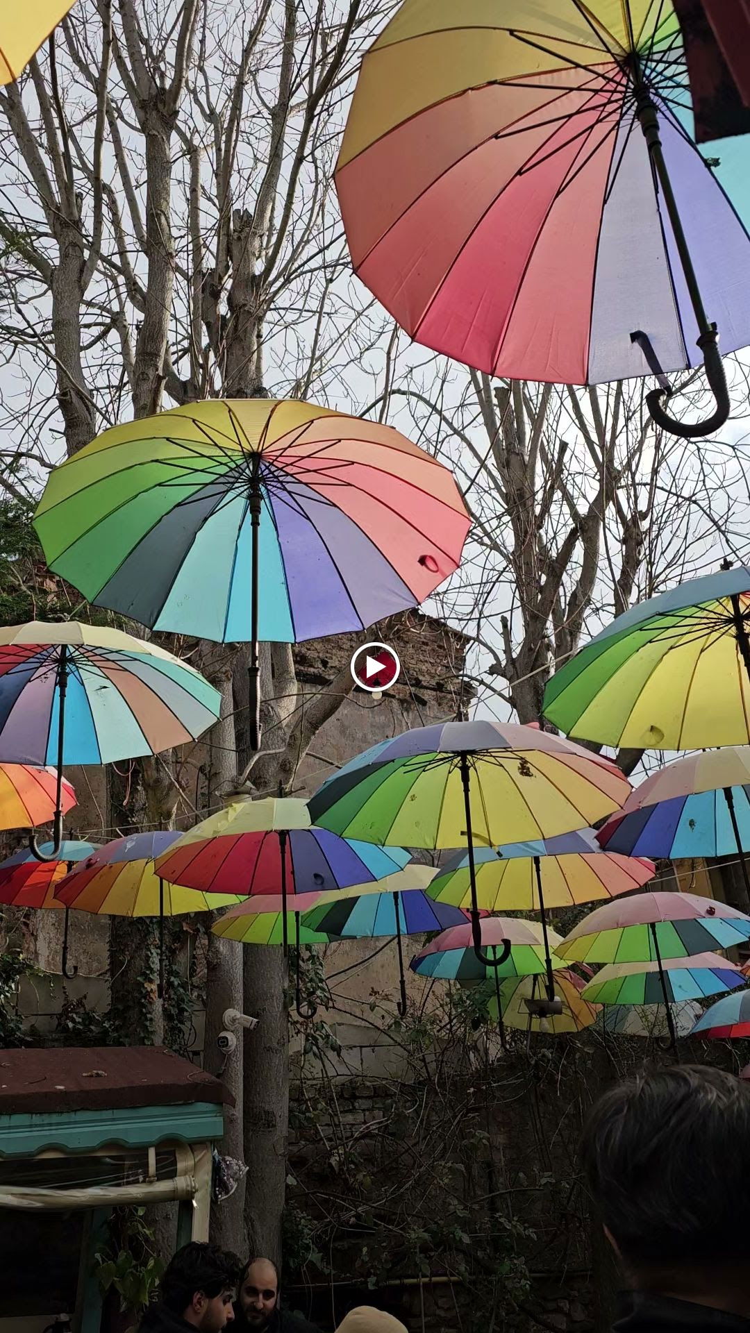 Dimitrie Cantemir Müze Cafe