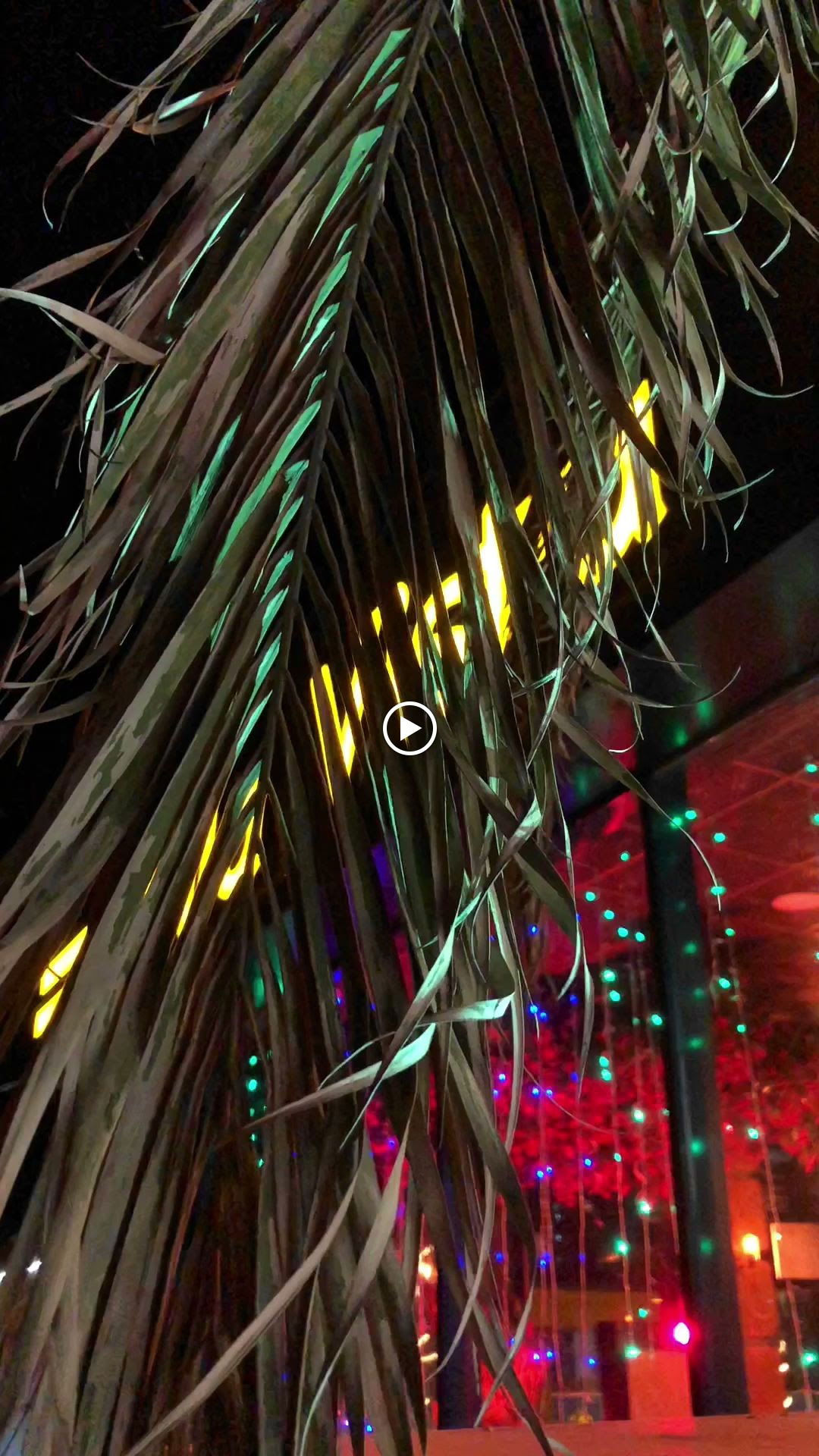 Bella Vista Cafe Bistro