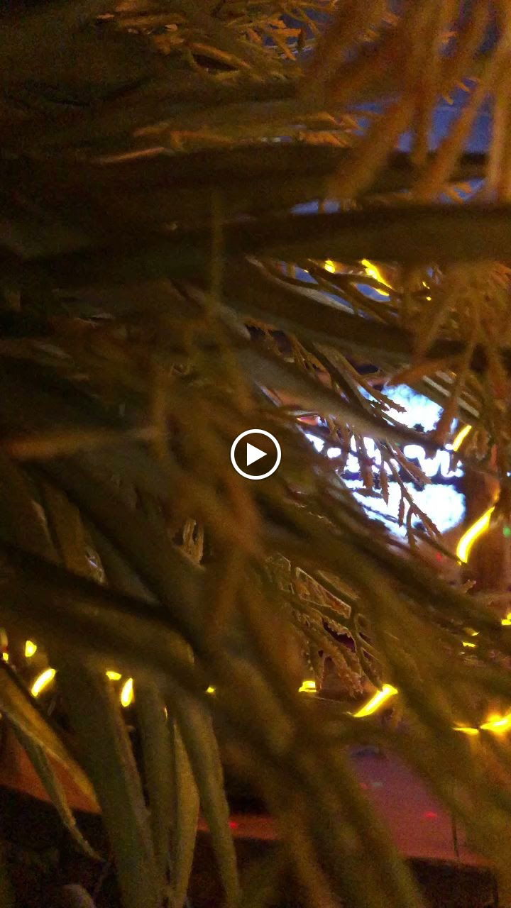 Bella Vista Cafe Bistro