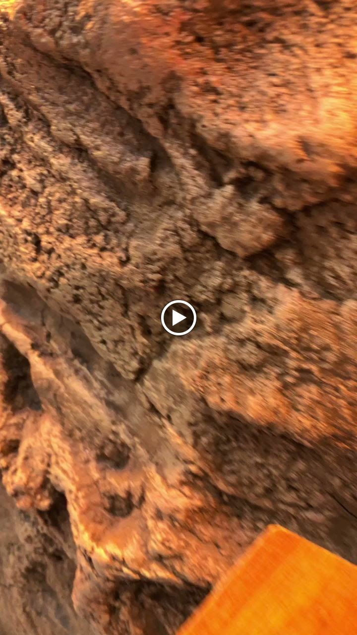 Bella Vista Cafe Bistro