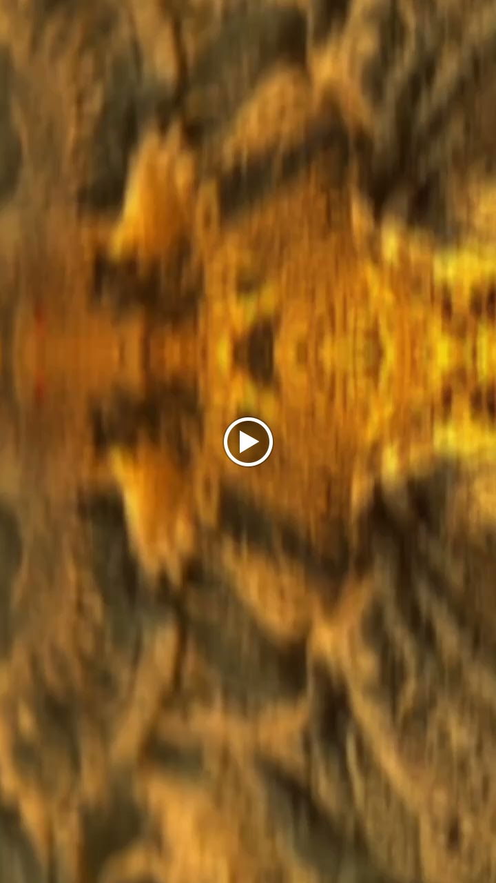 Bella Vista Cafe Bistro