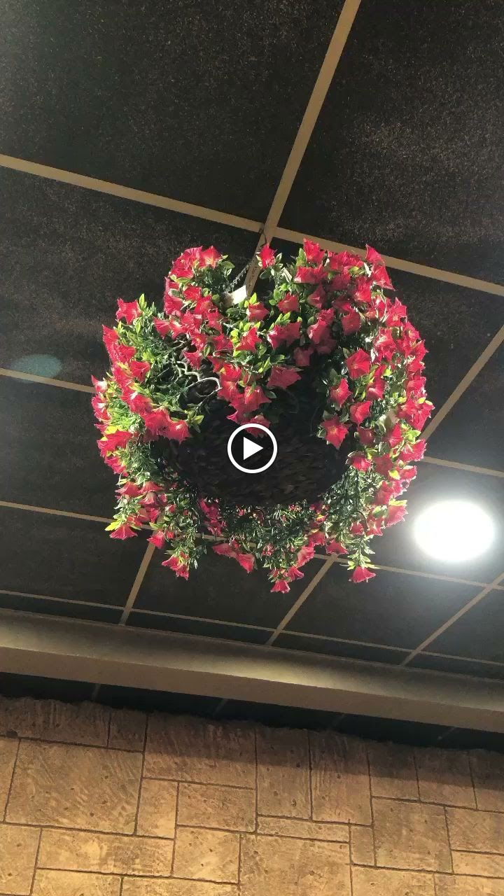 Bella Vista Cafe Bistro