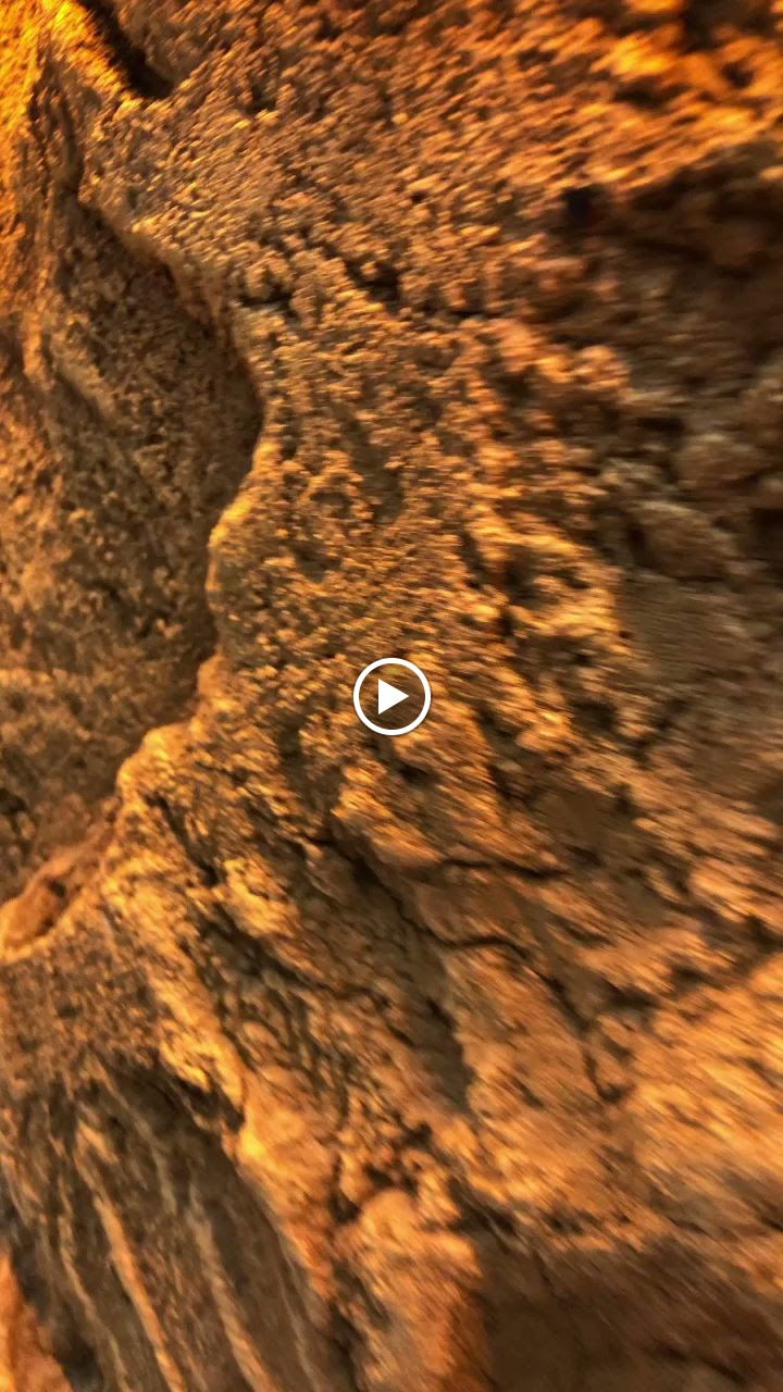 Bella Vista Cafe Bistro