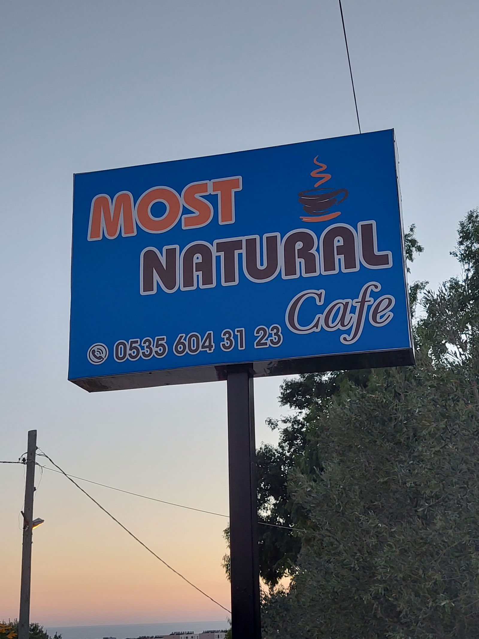 Most Natural Cafe