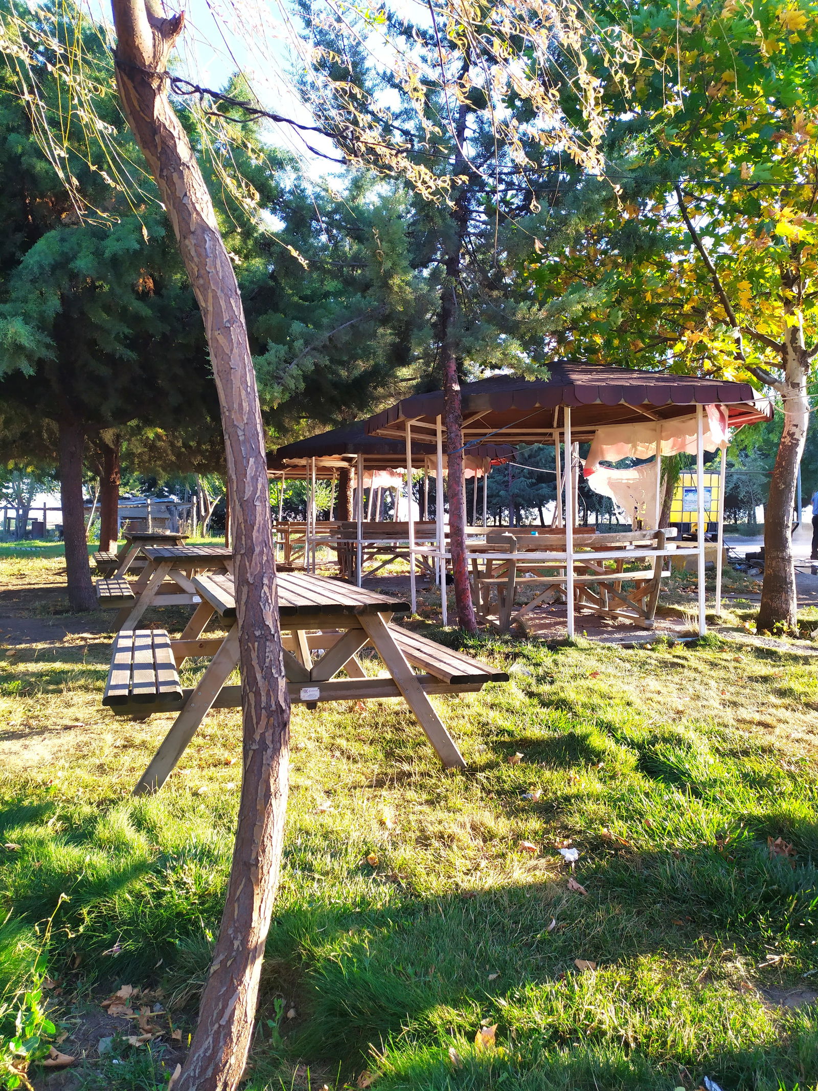 Osman Usta'Nın Yeri