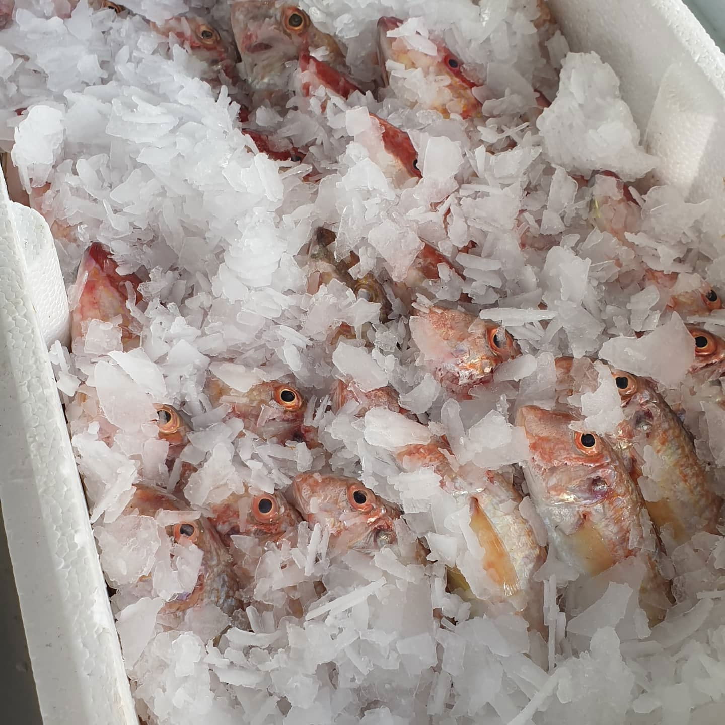 Derya Deniz Balık Evi