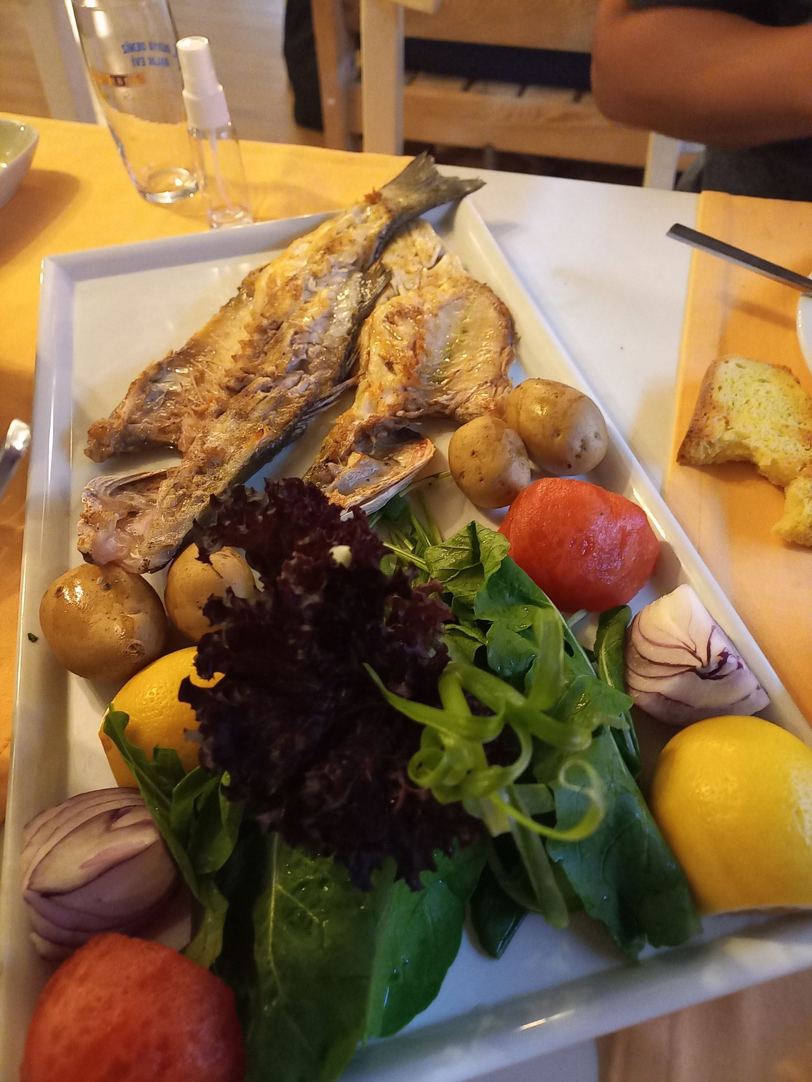 Derya Deniz Balık Evi