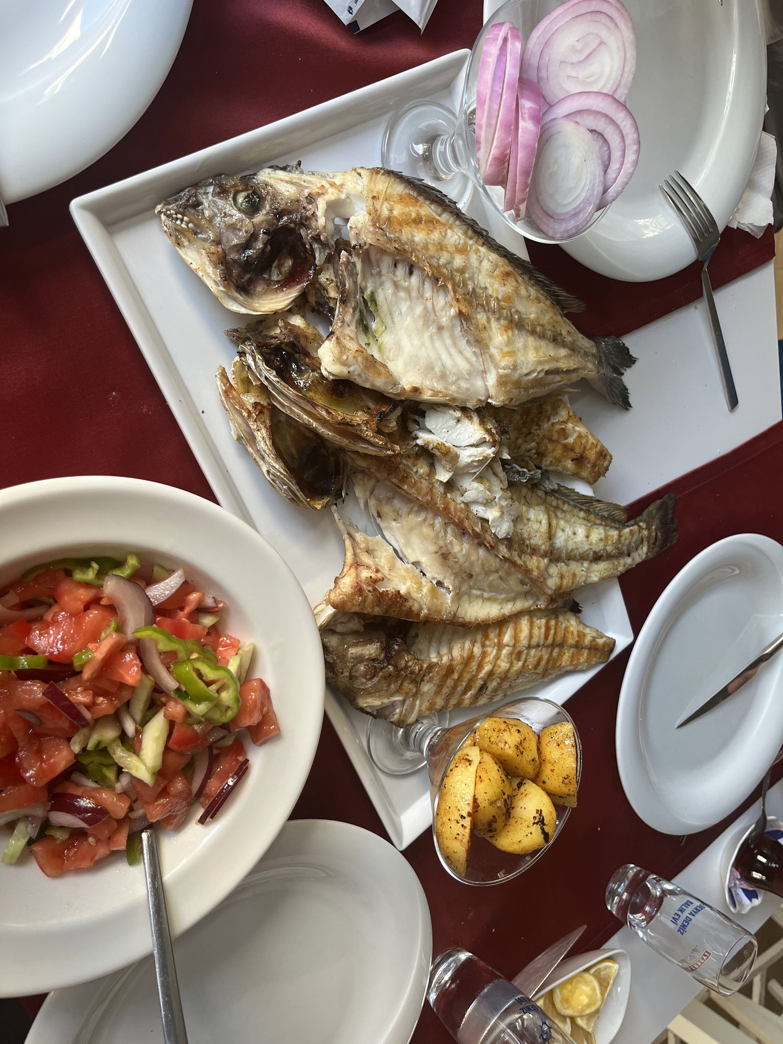 Derya Deniz Balık Evi