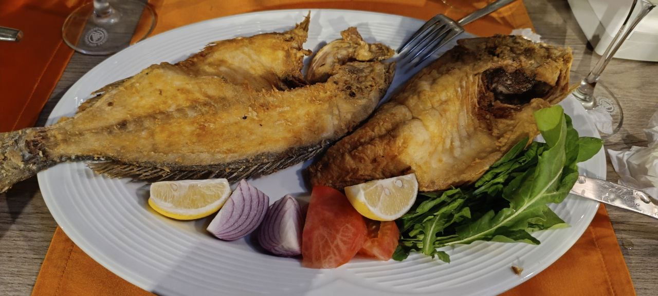 Derya Deniz Balık Evi