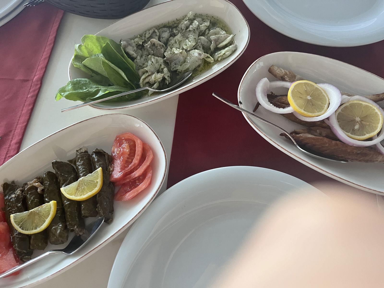 Derya Deniz Balık Evi