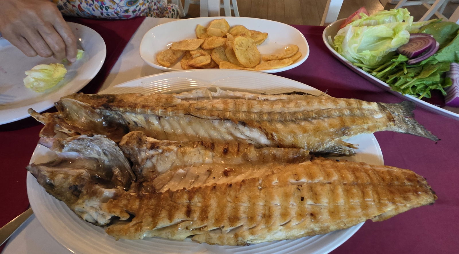 Derya Deniz Balık Evi