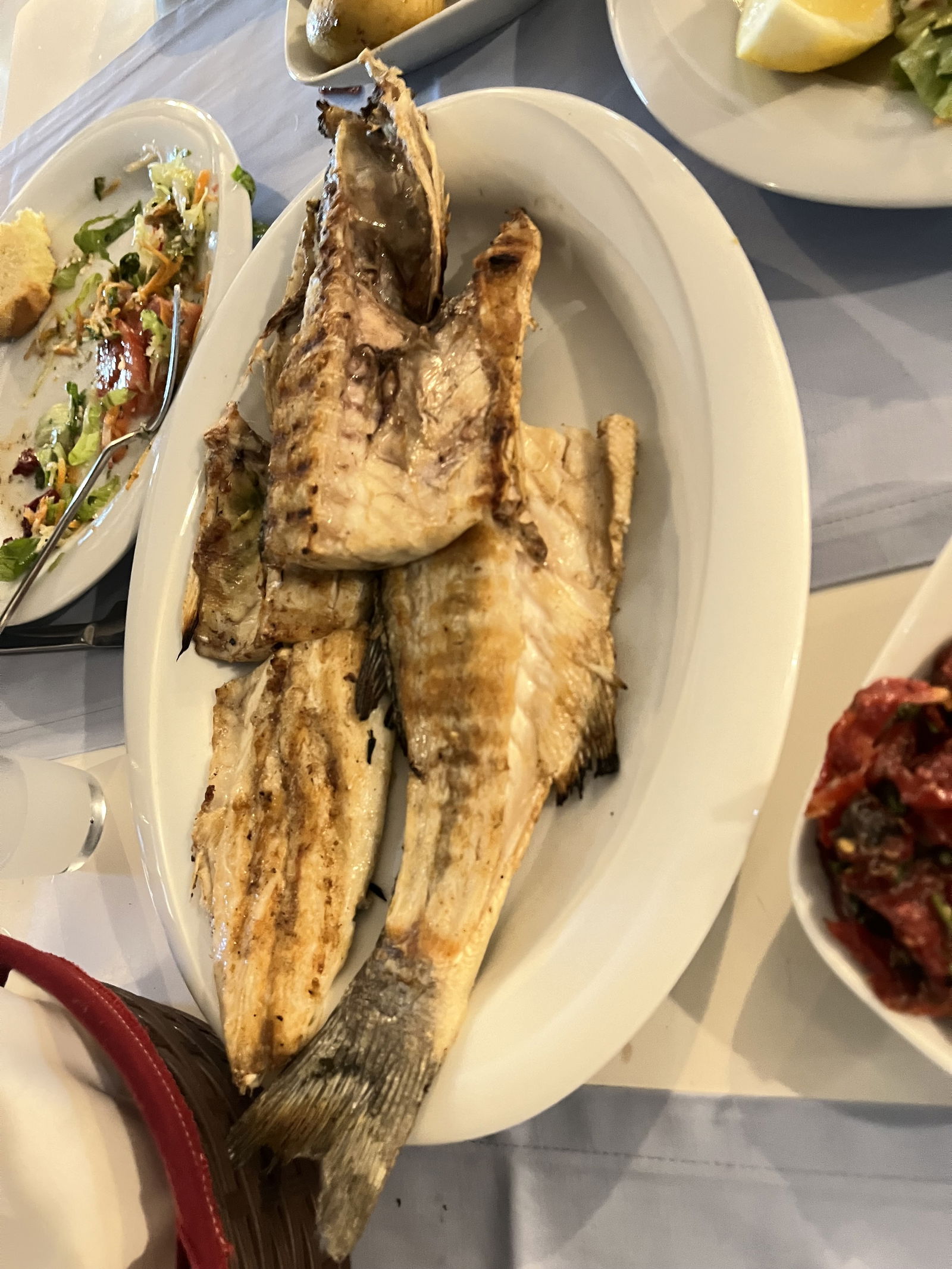 Derya Deniz Balık Evi