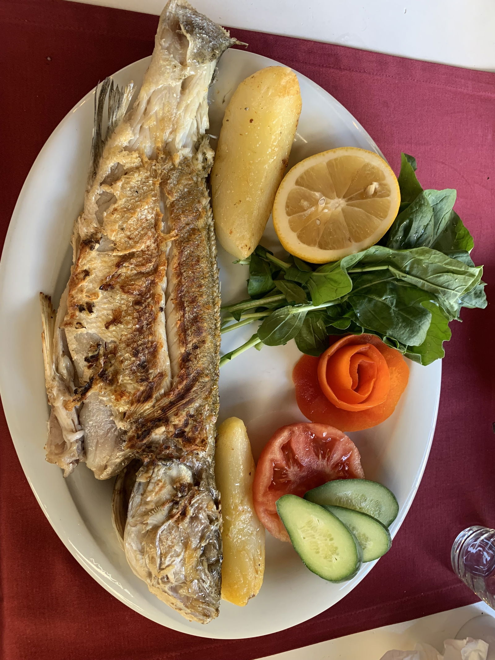 Derya Deniz Balık Evi