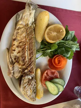 Derya Deniz Balık Evi resimleri