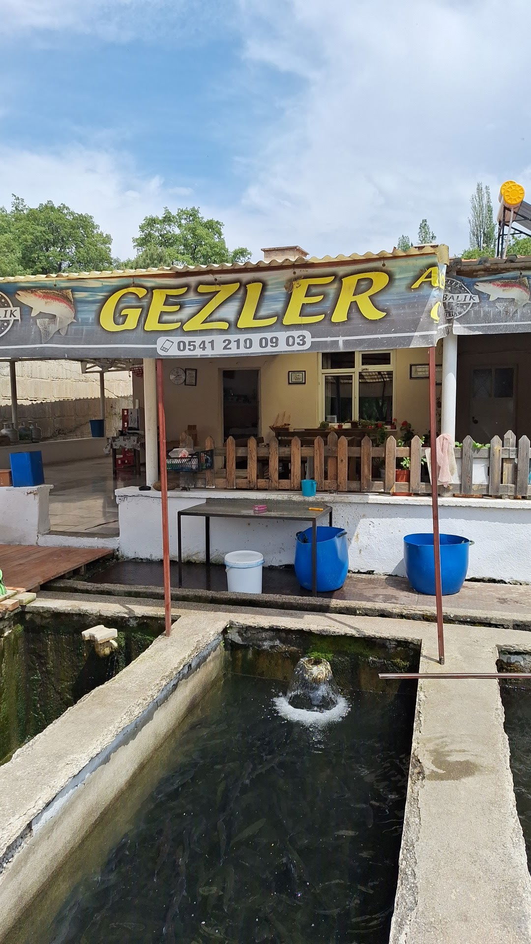 Gezler Alabalık