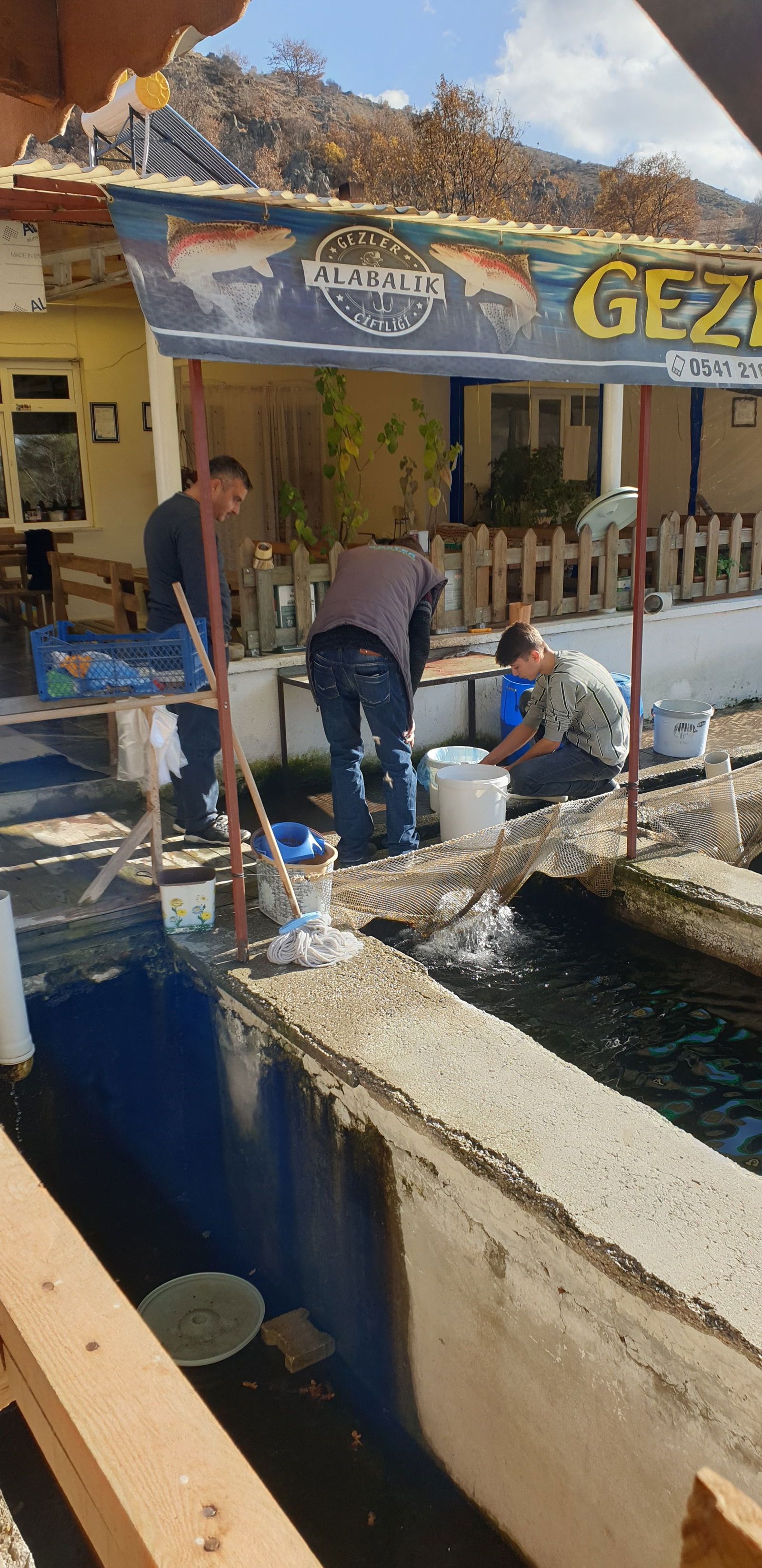Gezler Alabalık