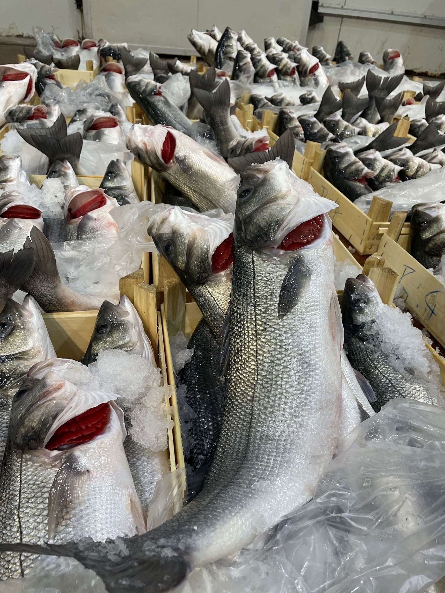 Çarşı Balık Market