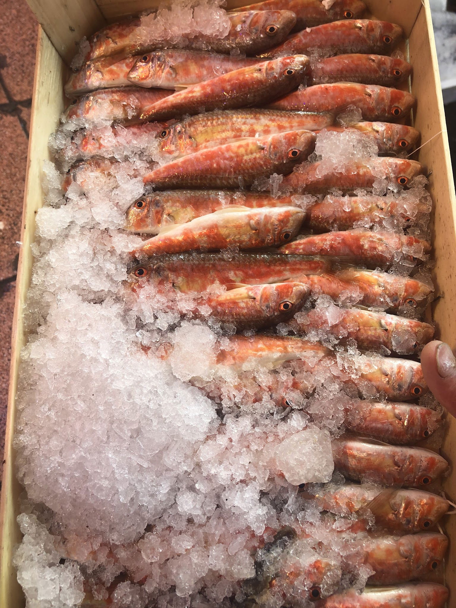 Çarşı Balık Market