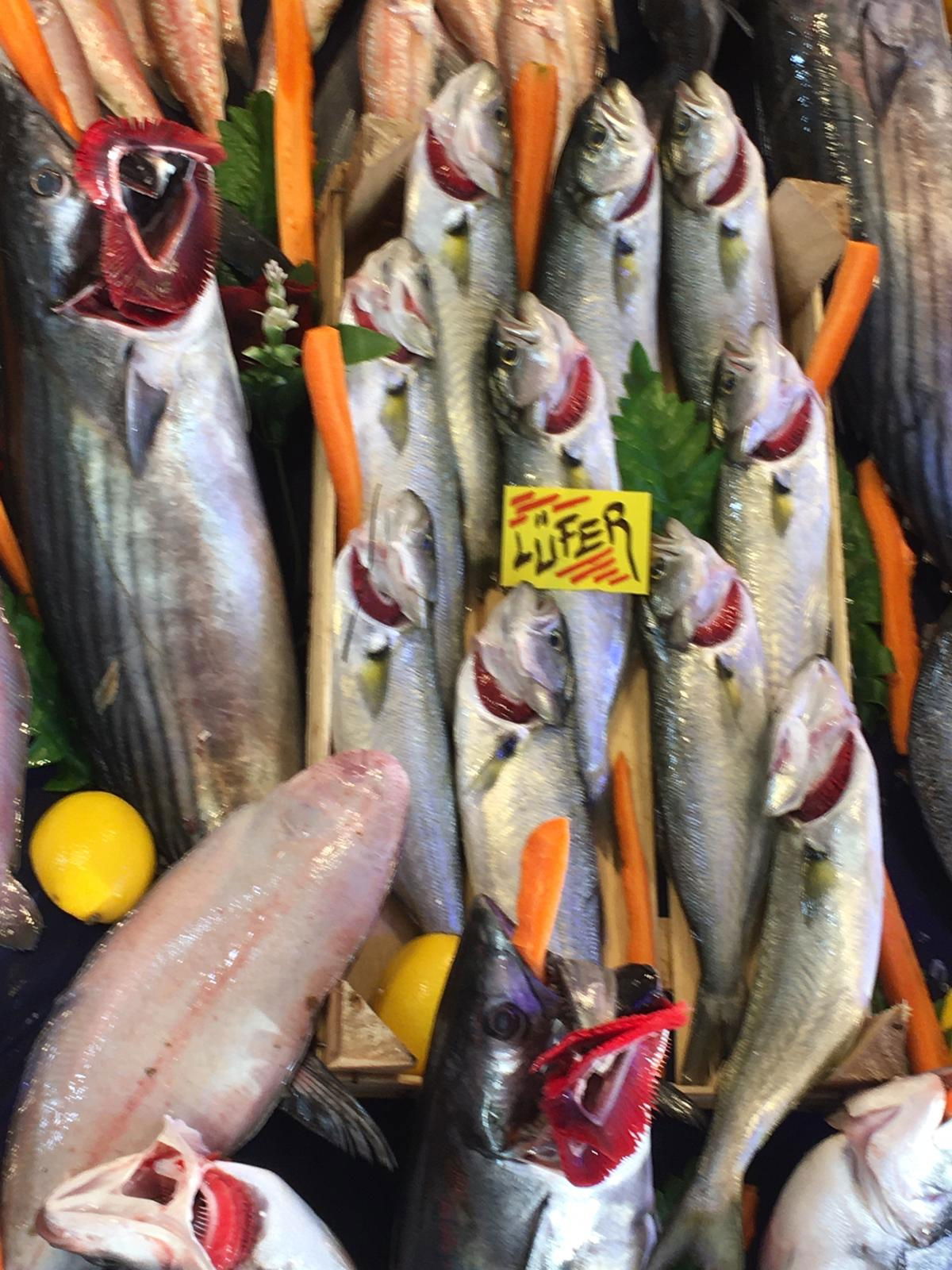 Çarşı Balık Market