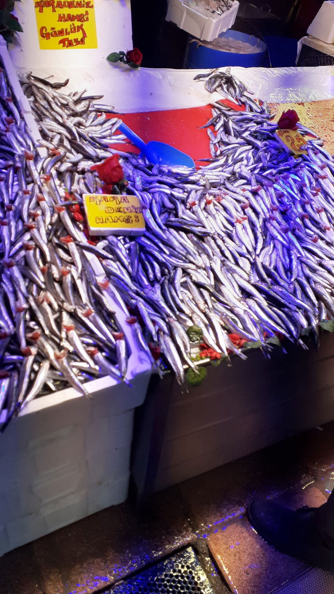 Çarşı Balık Market