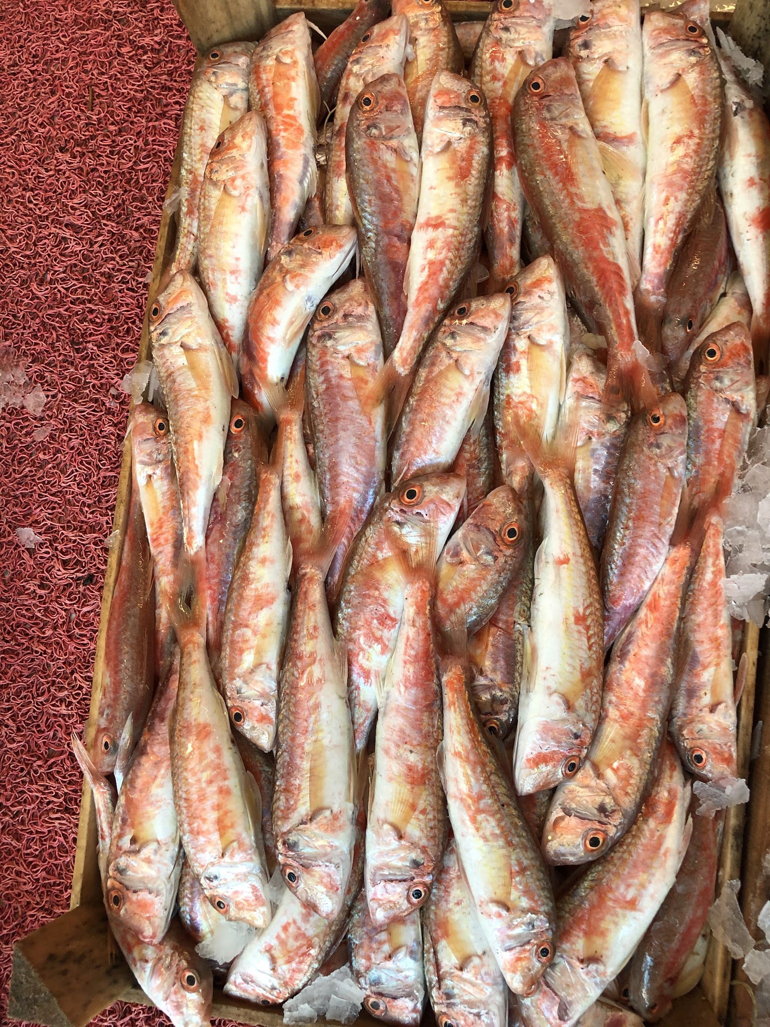 Çarşı Balık Market