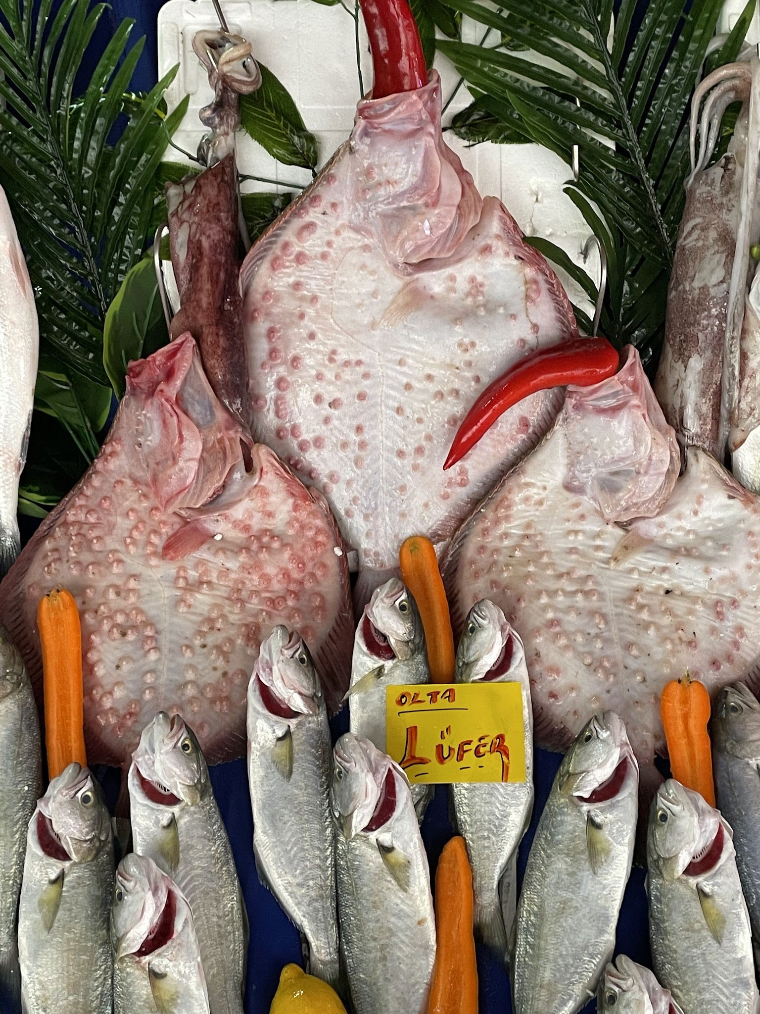 Çarşı Balık Market