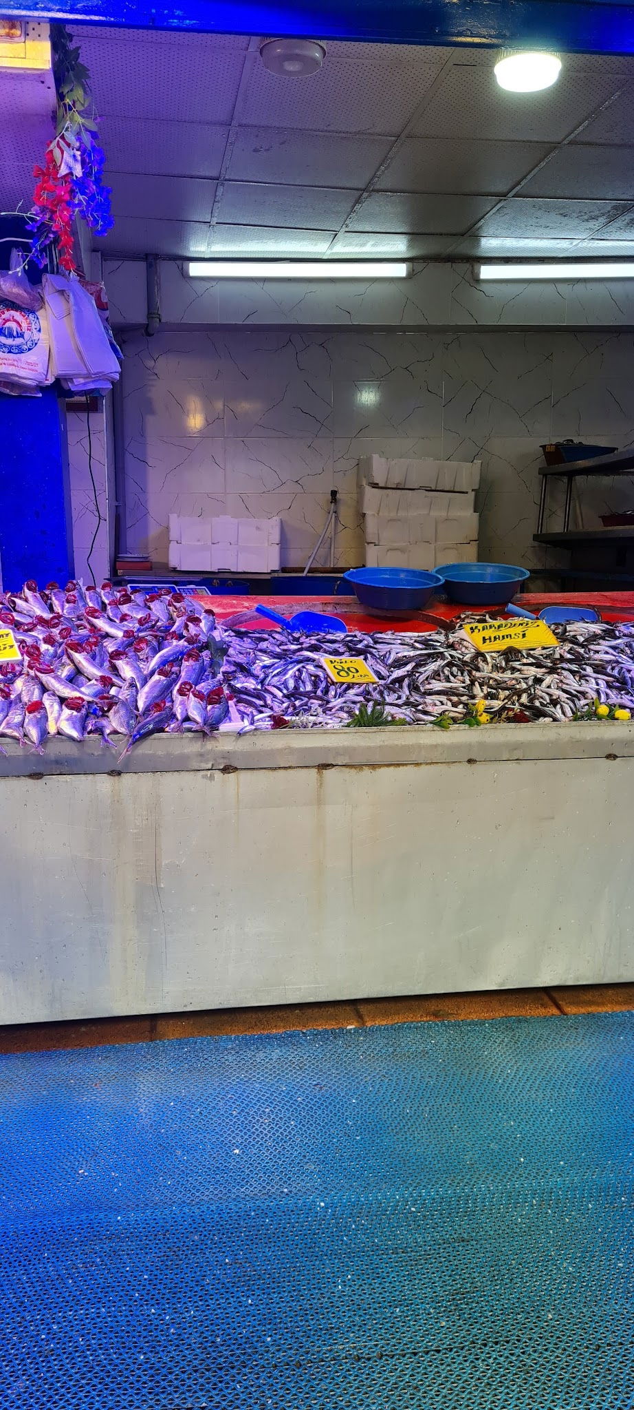 Çarşı Balık Market
