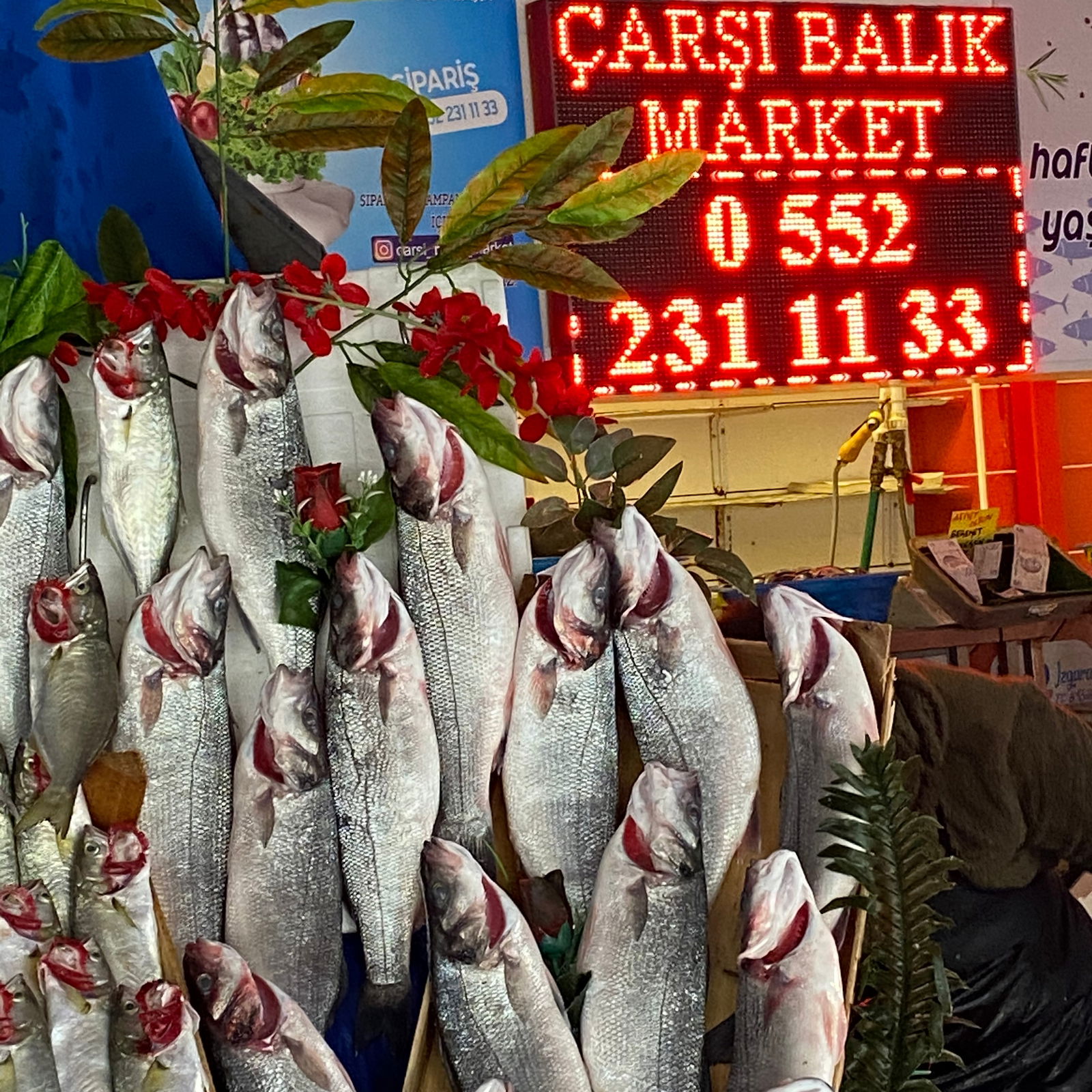 Çarşı Balık Market