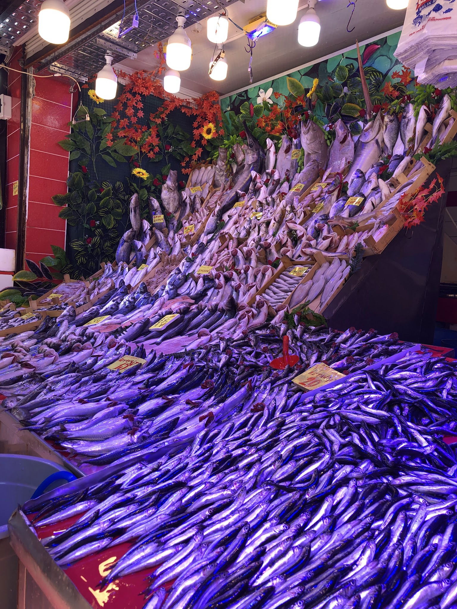 Çarşı Balık Market