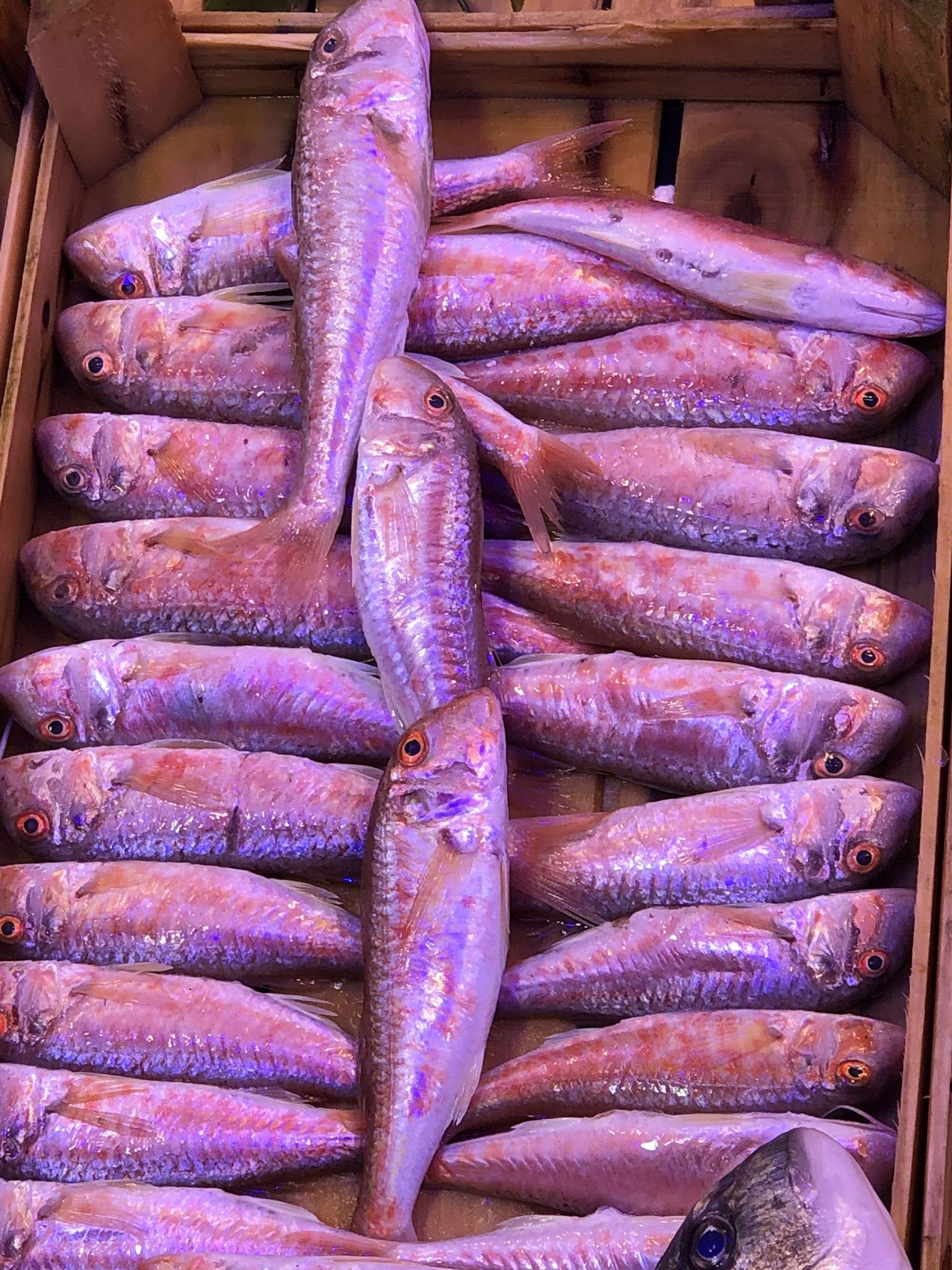 Çarşı Balık Market