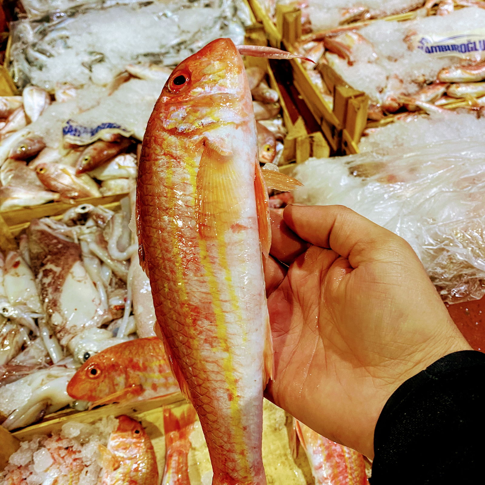 Çarşı Balık Market