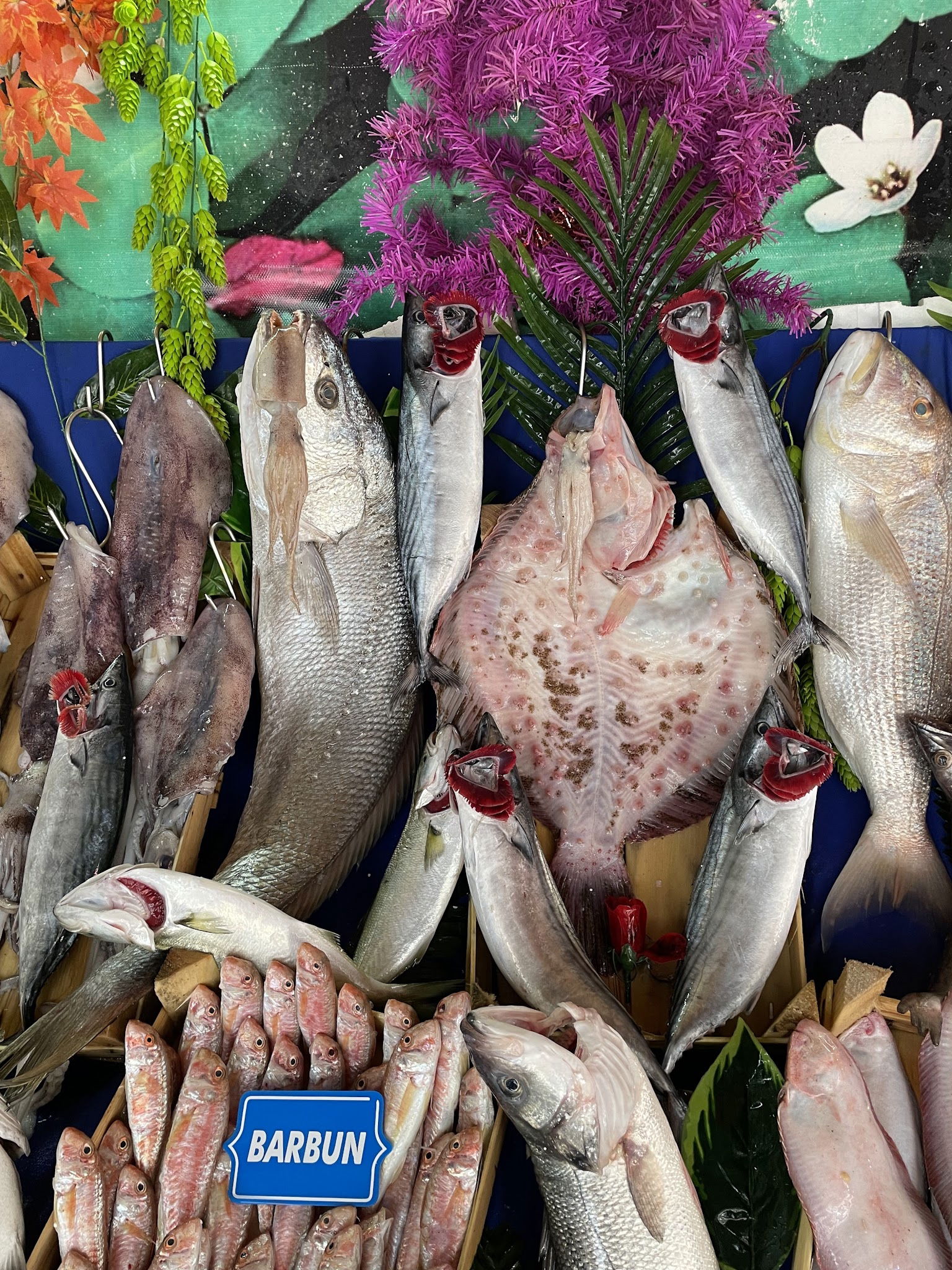 Çarşı Balık Market